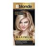 Jerome Russell Bblonde Maximum Highlighting Kit No 1 Maxium Blonde (For Light To Dark Brown Hair)