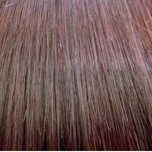Sleek Fashion Idol 101 Lace Syn Wig - INDIA