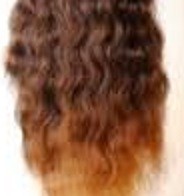 Sleek Fashion Idol 101 Lace Syn Wig - INDIA