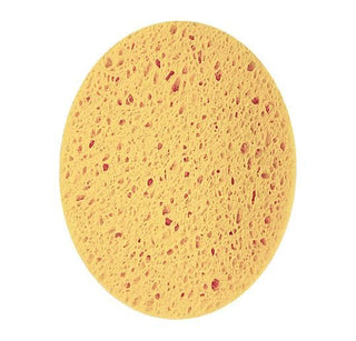 IMITATION SEA SPONGE