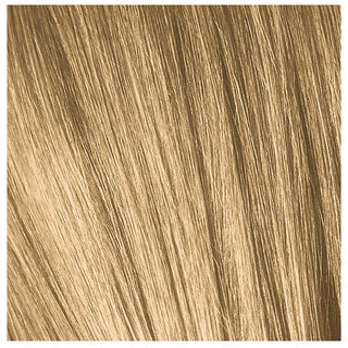 Sensationnel X-Pression Ultra Braid