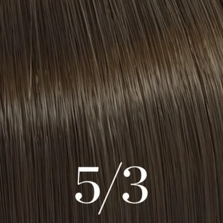 Wella Color Touch Demi Permanent Hair Colour 60ml | Ammonia-Free Shine Color
