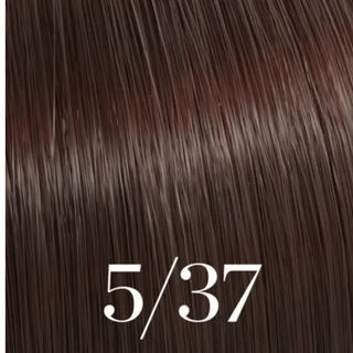 Wella Color Touch Demi Permanent Hair Colour 60ml | Ammonia-Free Shine Color