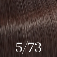 5/73 LIGHT BRUNETTE GOLD BROWN