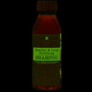 Creme Of Nature ALOE & BLACK CASTOR OIL Healthy & Long Fortifying Shampoo 12oz/355ml