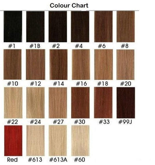 Premium Too 100% HH Yaki Straight Weave
