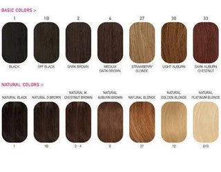 Goddess Remi 100% HH Yaki Weave