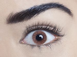 MesmerEyez Contact Lenses
