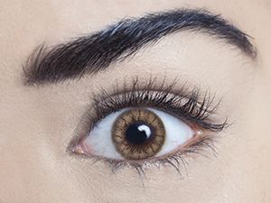 MesmerEyez Contact Lenses