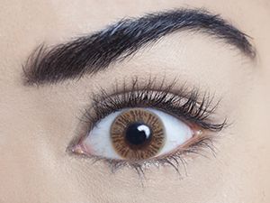 MesmerEyez Contact Lenses