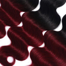 Blissource Synthetic Crochet Interlocking 3 IN 1 Value Pack - BUTTERFLY LOCS