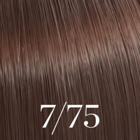 7/75 MEDIUM BRUNETTE BLONDE
