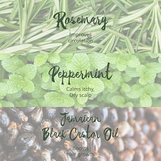 Tropic Isle Hair Gro Rosemary Mint Shampoo 8oz | Cleanse & Strengthen