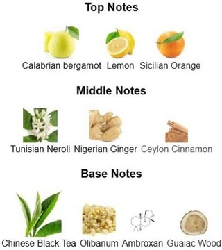 Arabiyat Prestige Marwa Eau de Parfum- Luxury Woody Citrus Fragrance for Men – 100ml