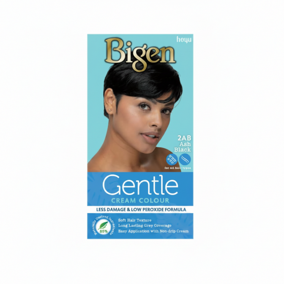 bigen gentle cream colour ash black 2ab natural grey coverage hair dye cream formula cool tone black smooth application long lasting color