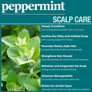 Difeel Peppermint Scalp Care Conditioner | Cooling & Hydrating