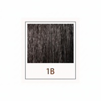 1B