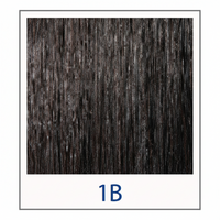 1B