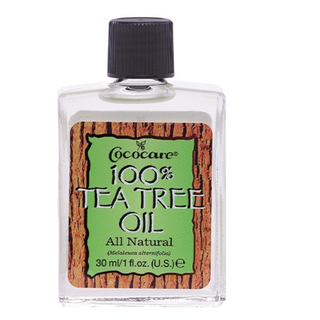 Cococare tea tree oil 30ml natural acne and dandruff scalp care oil for skin purification and healthy hair support