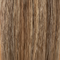 P10\16\613