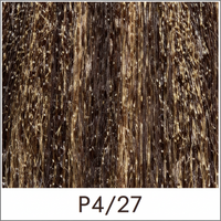 P4\27