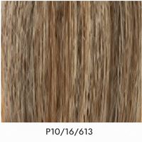 P10\16\613
