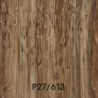 P27\613