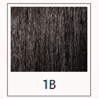 1B