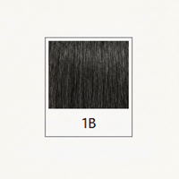 1B