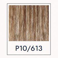 P10\613