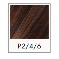 P2\4\6