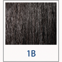 1b