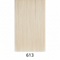 613