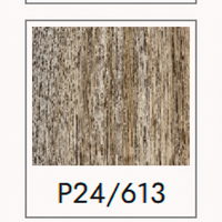 p24\613