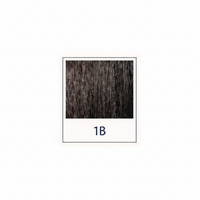 1B