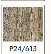 P24\613