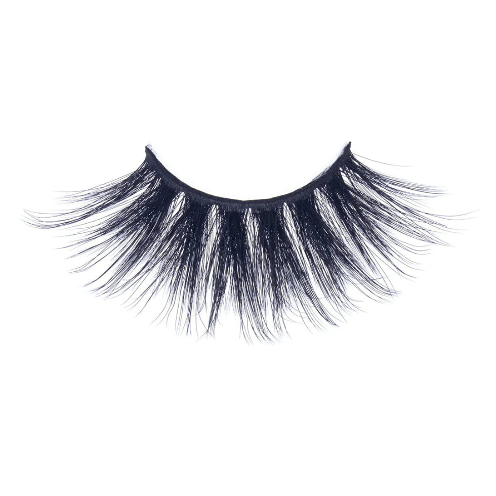 Ebin New York Majestic Cat XL 3D lashes multi-dimensional extra long volume strip eyelashes pack box
