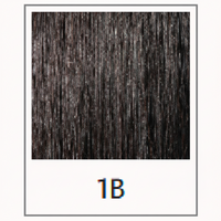 1B