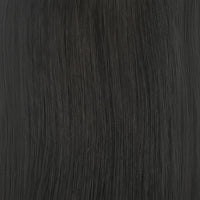 1b