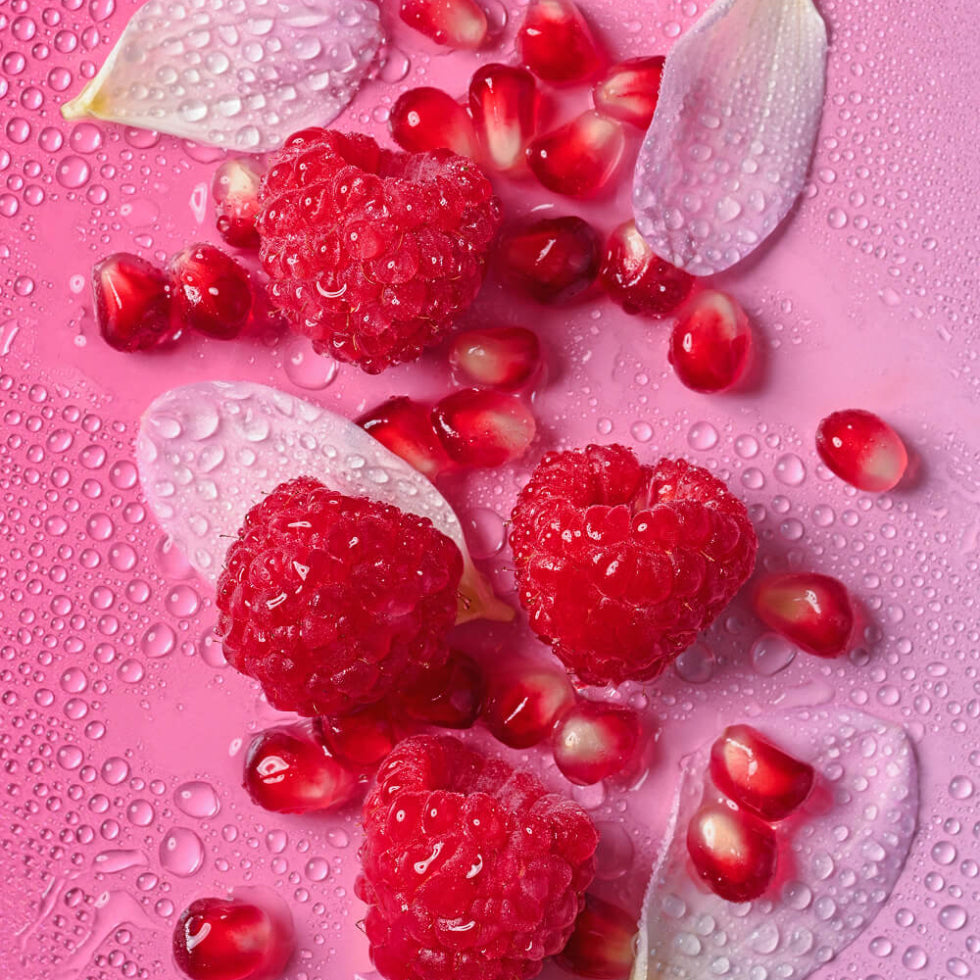 Ingredient-focused visual highlighting shea butter, shea oil, aloe vera, glycerin, sunflower seed oil and colloidal oatmeal.