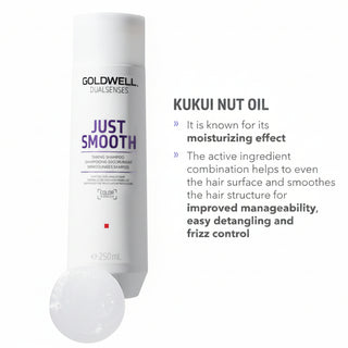 goldwell dualsenses just smooth taming shampoo 250ml for frizzy unruly hair with anti frizz smoothing and shine enhancing care