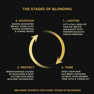 Jerome Russell Bblonde Maximum Blonde high lift powder bleach for blonde dark brown hair