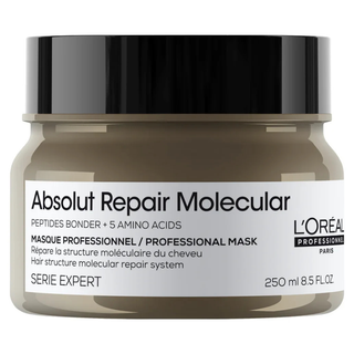 LOréal Professionnel Absolut Repair Molecular Mask 250ml for damaged hair repair and shine