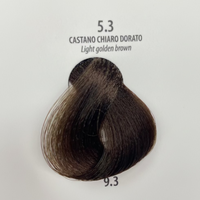5.3 / Light Golden Brown