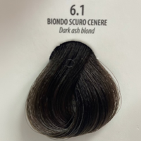 6.1 / Dark ash Blond