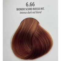 6.66 / Intense Dark Red Blond
