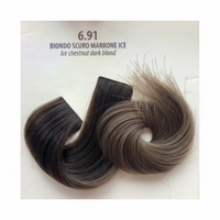 6.91 / Ice Chestnut Dark Blonde