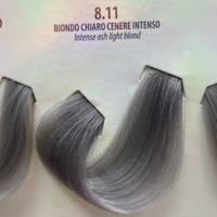 8.11 / Intense ash Light Blonde
