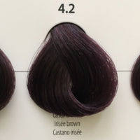 4.2 Irisee Brown