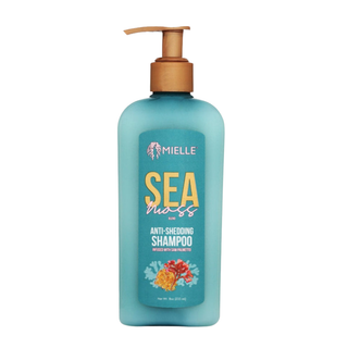 mielle sea moss anti shedding shampoo 8oz hydrating strengthening cleanser for reducing breakage soft and healthy curly hair cleaning treatment